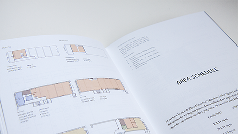 Area schedule Strategic appraisal document produced by Lyndon Goode to assist the YMCA with understanding development opportunity at their site in Haringey